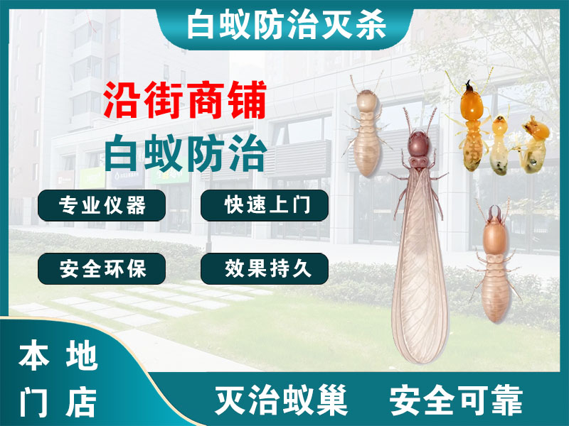 姜堰沿街商铺白蚁防治