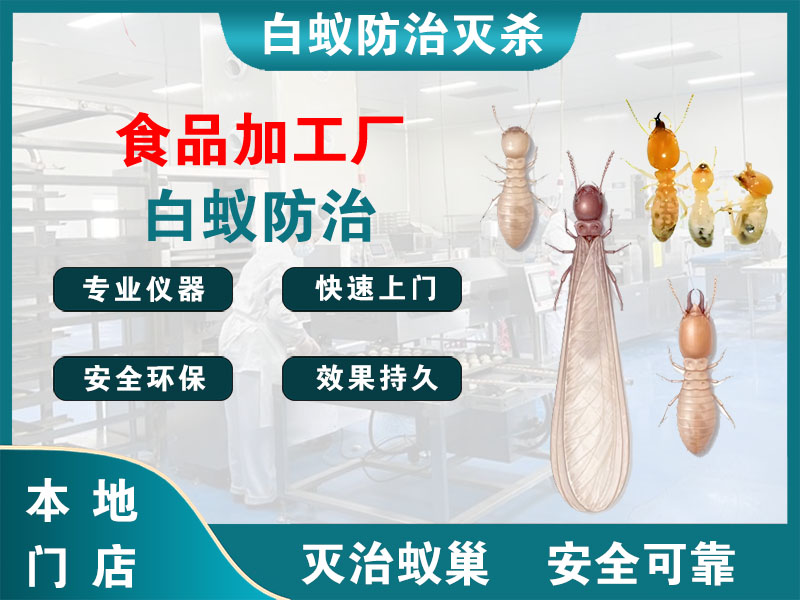 姜堰食品加工厂白蚁防治