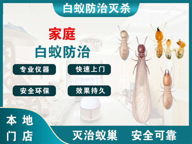 姜堰家庭白蚁防治