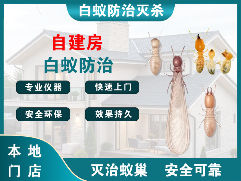 姜堰自建房白蚁防治