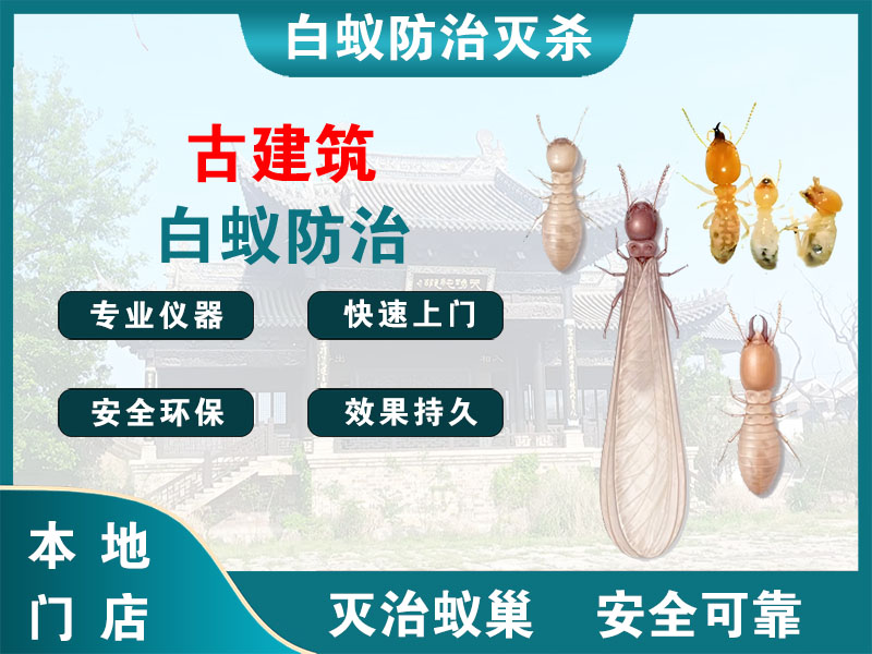 姜堰古建筑白蚁防治