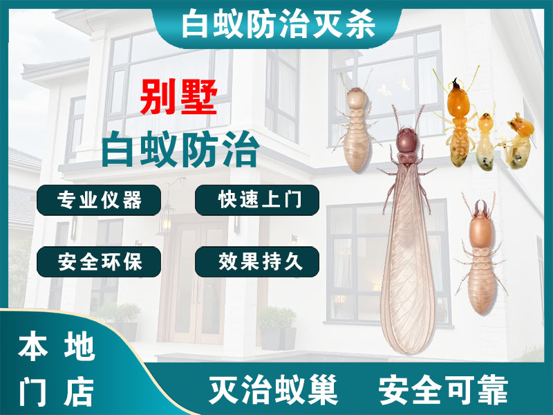 姜堰别墅白蚁防治