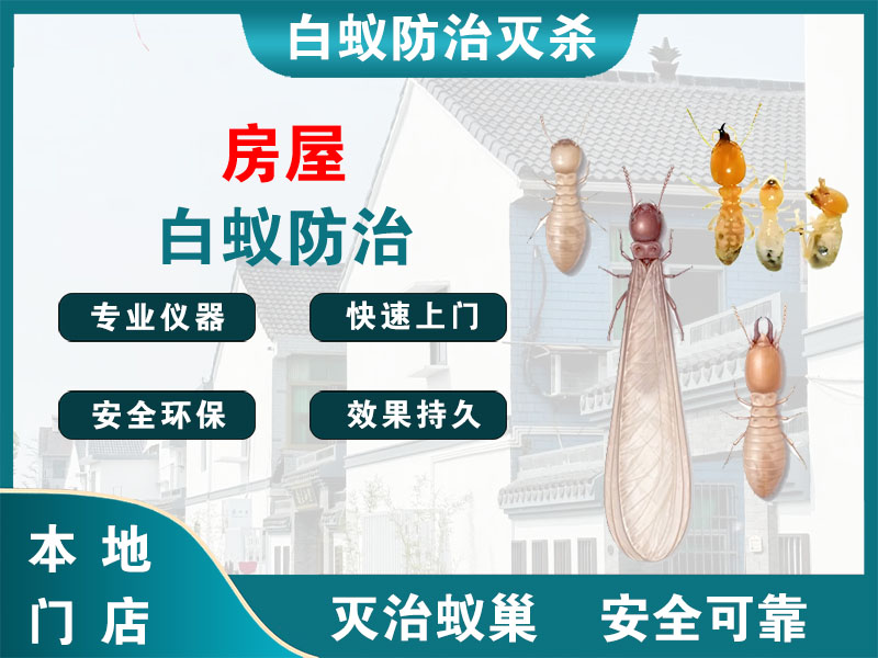 姜堰房屋白蚁防治